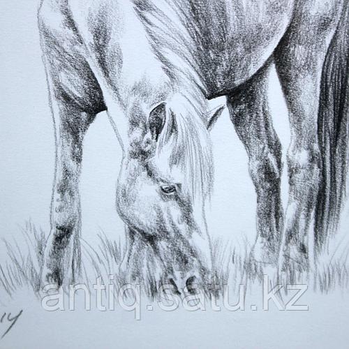 Порно видео онлайн pupok tv