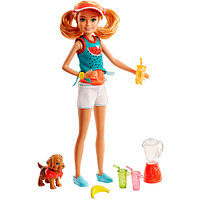 Mattel Barbie "Сестры и щенки"