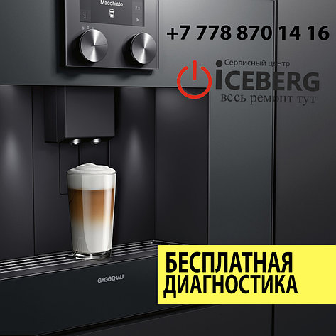 Ремонт бытовой техники Gaggenau, фото 2