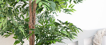 Лиственные и фикусы - искусственные декоративные растения