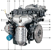 Двигатель и трансмиссия на Hyundai Getz (2002-2011)