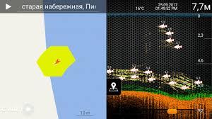 Беспроводной эхолот DEEPER PRO+ (GPS)(дальность до 100м)(глубина сканир. до 80м) R44981 - фото 9 - id-p74095548