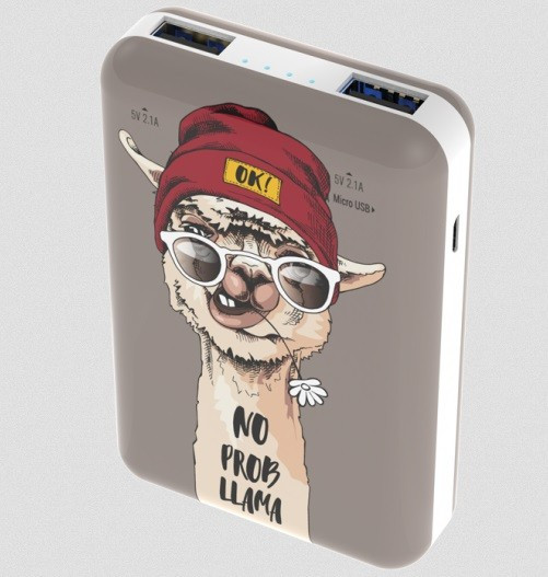 Зарядное устройство Power bank RITMIX RPB-10007 Lama