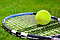 Теннисные мячи Wilson 3 штук, фото 2