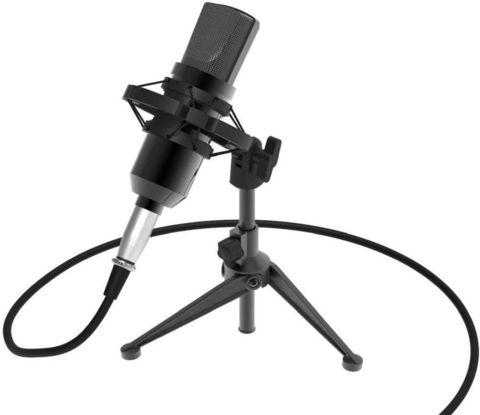 Микрофон студийный настольный конденсаторный RITMIX с USB-адаптером RDM-160 - фото 1 - id-p83065387