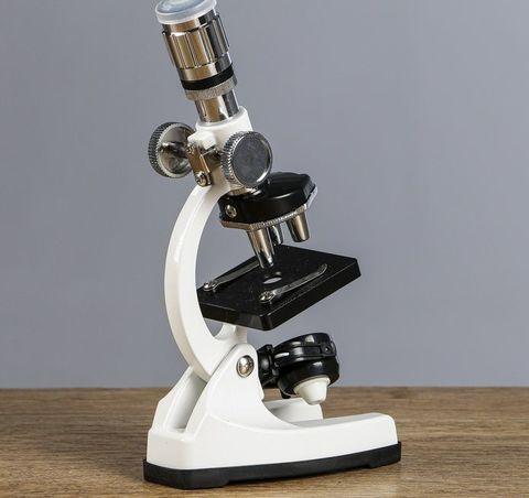 Микроскоп с набором для био-исследований в кейсе «DISCOVERY» {1200х, 400х, 100х} - фото 10 - id-p83065536
