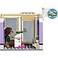 LEGO Friends: Художественная студия Эммы 41365, фото 9