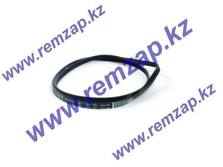 1160 / 1162 EPH8  Ремень для стиральной машины Атлант 908092003030   в/з 908092003041,908092003033, фото 1