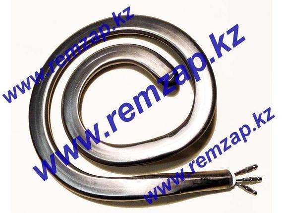 Тэн, конфорка для плиты мечта, фото 1