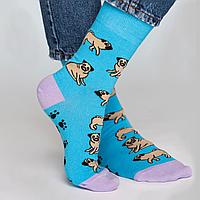 Носки. FRIDAY SOCKS. Свой собственный дед