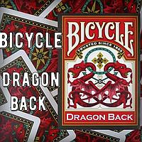 Bicycle Dragon Back