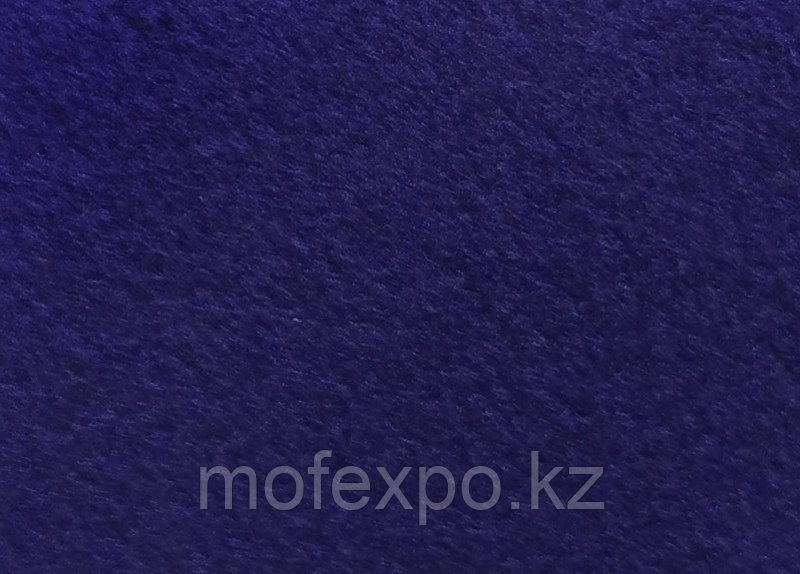 Micro 19
