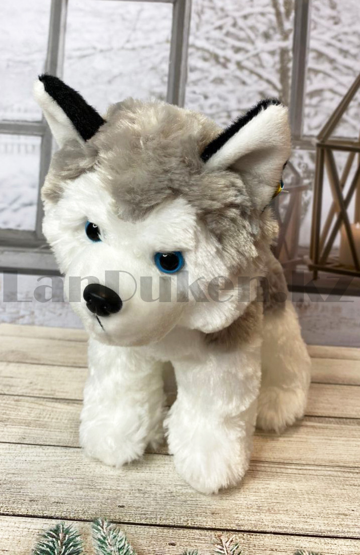 Мягкая игрушка собака Хаски большая с антистрессовой лапкой серая 25 см - фото 9 - id-p83165330