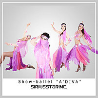 Show-ballet "A'DIVA", фото 3