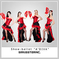 Show-ballet "A'DIVA", фото 4