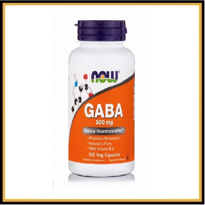 Now Foods GABA 500мг 100капсул