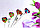 Леденец лолли 10гр ДИСК /Леденцовый рай/(30шт - упак), фото 2