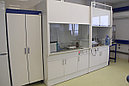 Шкаф лабораторный общего назначения серии СТ.ШН, фото 4