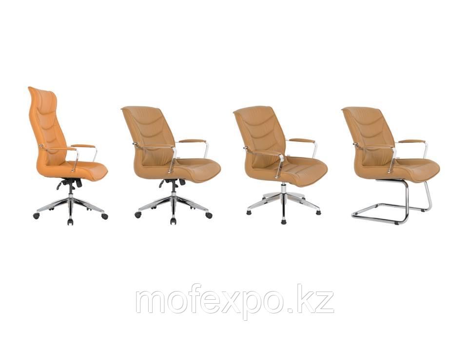 GATO A OFIS KOLTUGU