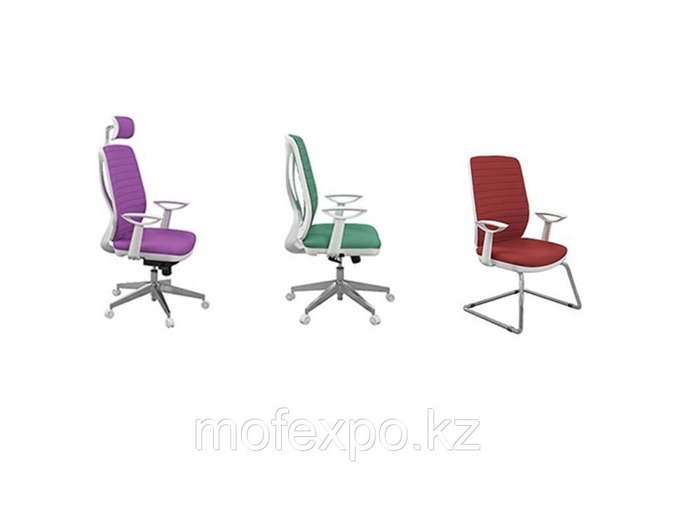 TOTTO B OFIS KOLTUGU