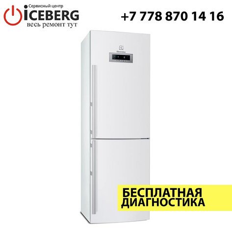 Ремонт холодильников Electrolux, фото 2