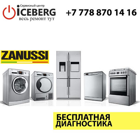 Ремонт бытовой техники Zanussi, фото 2