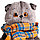 Котик Басик с шарфом в клеточку 30-002, фото 5