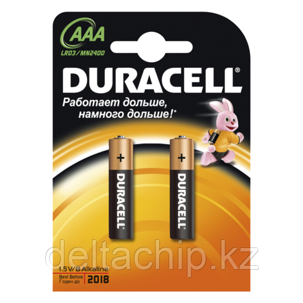 AAA 2шт Basic батарейки DURACELL