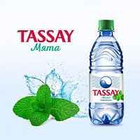 Вода Tassay МЯТА без газа 0,5 л.