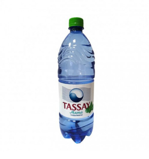 Вода Tassay МЯТА без газа 1 л. - фото 1 - id-p83632092