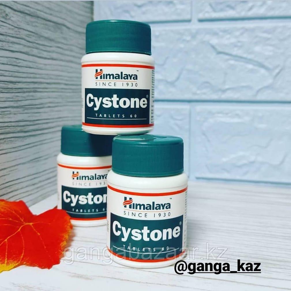 Цистон (Cyston, Himalaya) - для лечения урологических заболеваний, 60 таб
