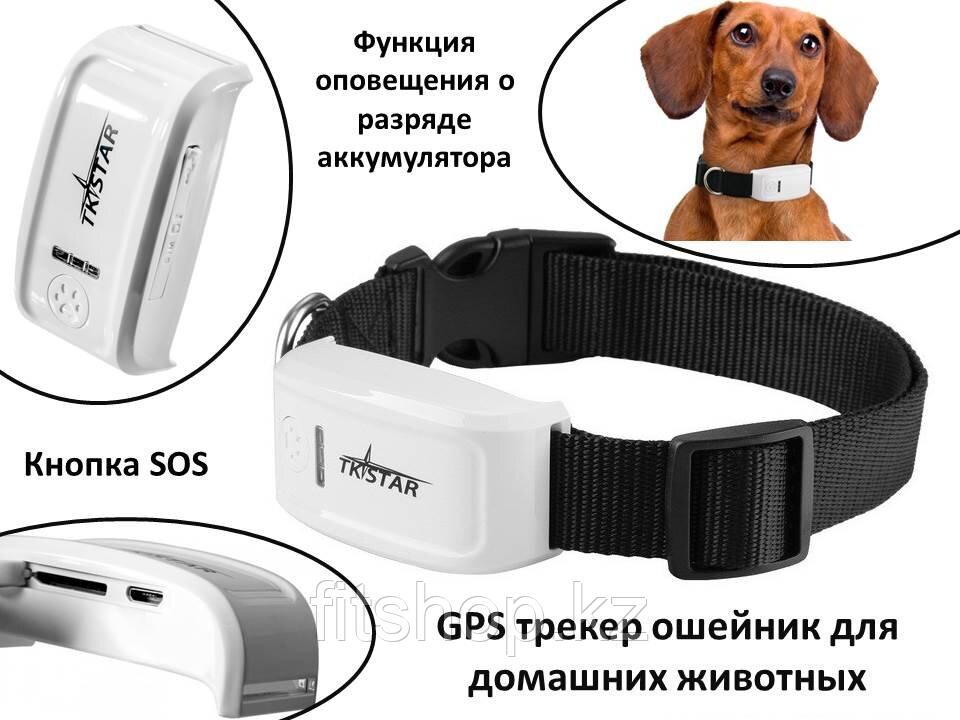 GPS трекер ошейник для домашних животных, TK-STAR TK909