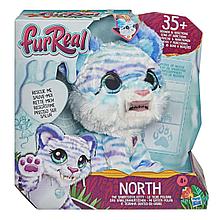 Интерактивная игрушка Hasbro FurReal Friends Северный саблезубый котенок меховой