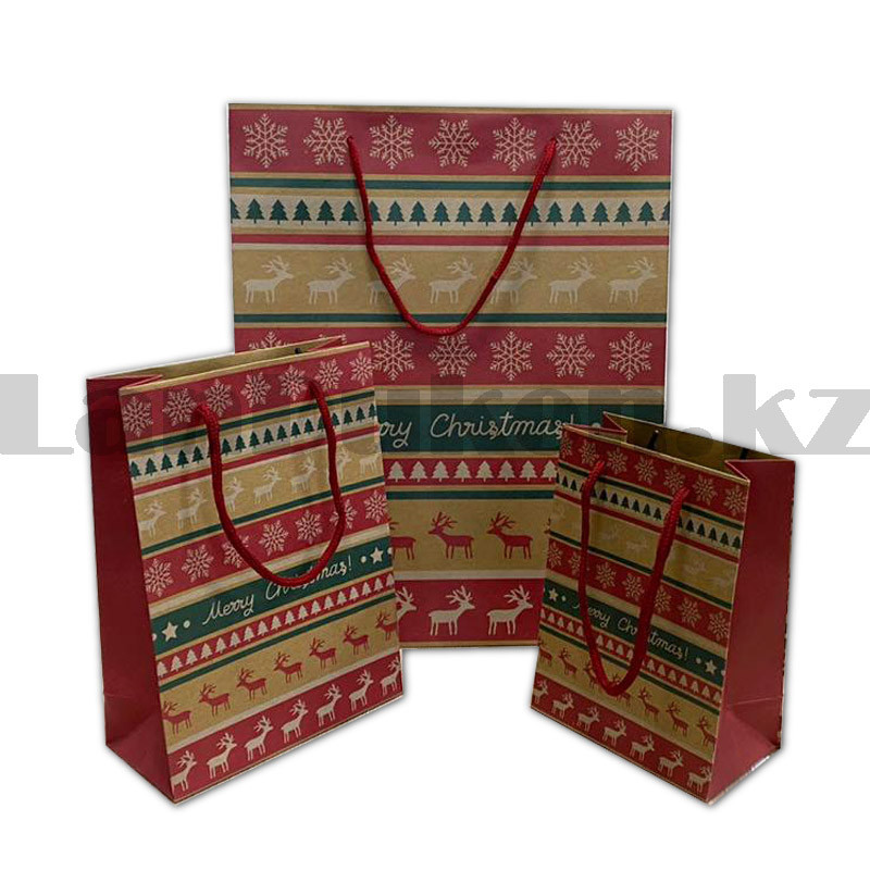 Пакет подарочный M(15х20) в новогодней тематике крафт пакет с узорами - фото 3 - id-p83770668