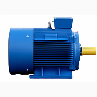 Промышленный электродвигатель 4А250-M4 90кВт/1500 об/мин