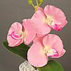 Декоративная композиция-вазон Орхидеи - Оплата Kaspi Pay, фото 2