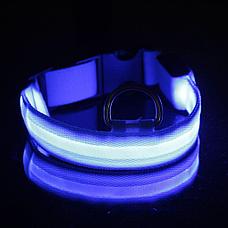 Светодиодный ошейник для собак usb, цвет голубой, размер M, фото 3