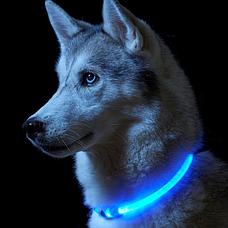 Светодиодный ошейник для собак usb, цвет голубой, размер M, фото 2