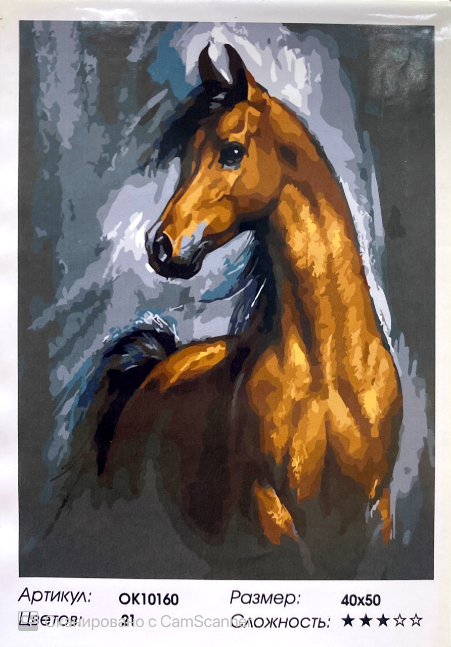 Картина по номерам " Лошадь " 50 х 40 см