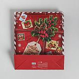 Пакет ламинированный вертикальный «Подарок от Деда Мороза», 23 × 27 × 8 см, фото 4
