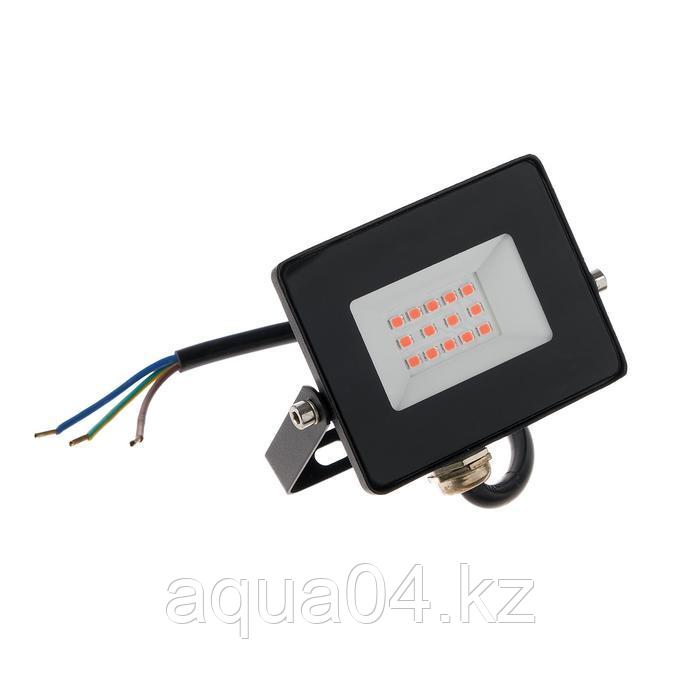 Прожектор светодиодный Smartbuy FL SMD LIGHT, Фитодиоды (20 Вт, IP65) - фото 1 - id-p83926312