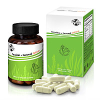 Fucoidan+Seaweed Calcium 90капсул