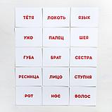 Обучающие карточки по методике Глена Домана «Учимся читать. Части тела и члены семьи», 30 карт, А6, фото 3