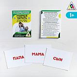 Обучающие карточки по методике Глена Домана «Учимся читать. Части тела и члены семьи», 30 карт, А6, фото 4