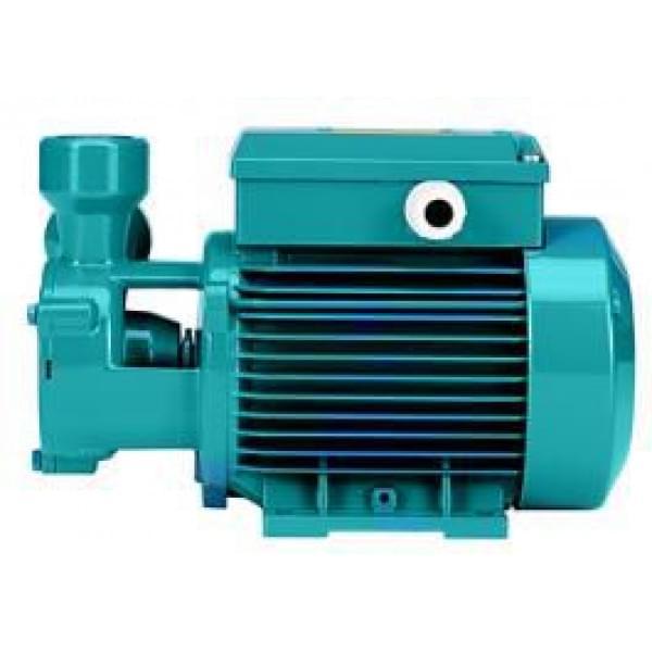 Насосный агрегат вихревого типа TP 80 230/400/50 Hz