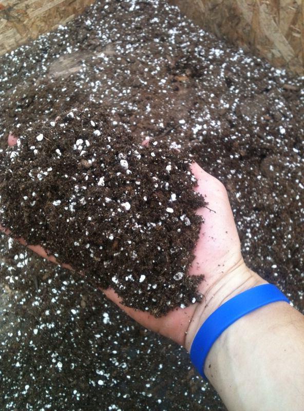 Торф (торфянной субстрат)