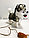 Игрушка Робот Собачка Хаски интерактивная ходячая лает поющая виляет хвостом на поводке в ассортименте, фото 4