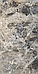 High Glossy Breccia Capria (Random) 600 x1200, фото 3