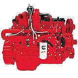 Фильтр топливный FS20022 CUMMINS 3978134, фото 6