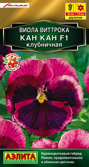 Виола Вирокка клубничный